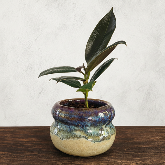 Planter
