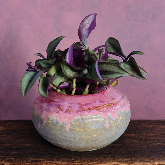 Planter